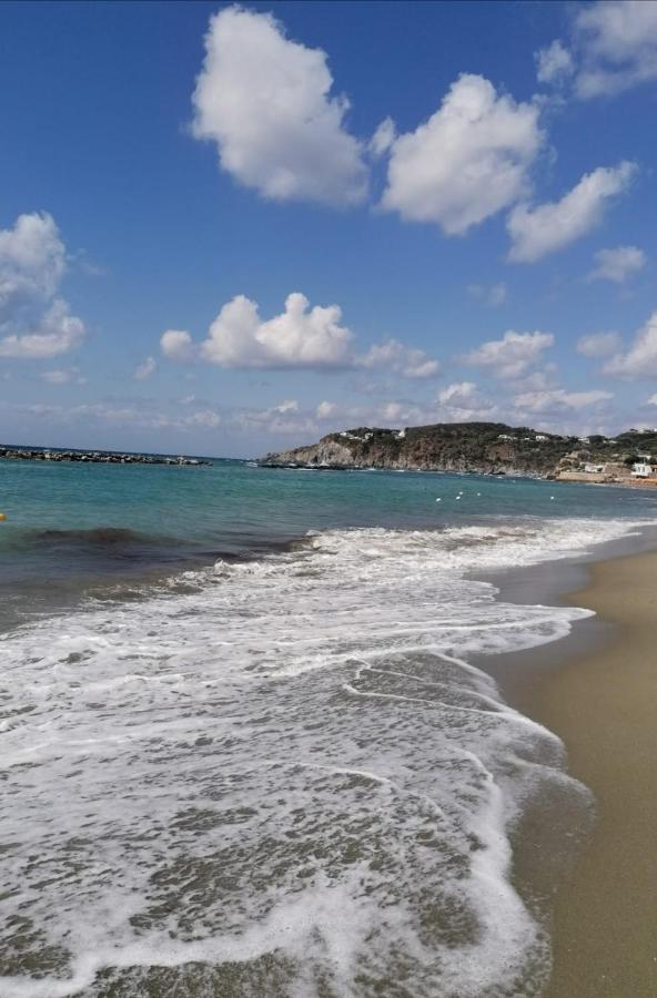 La Bicocca Di Annavi Panzió Forio di Ischia Kültér fotó